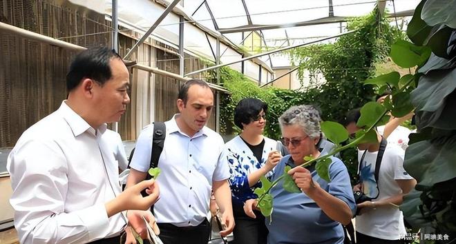 为曝光作案手法阴险粮食安全受威胁不朽情缘网站央媒通报！又一间谍行(图14)