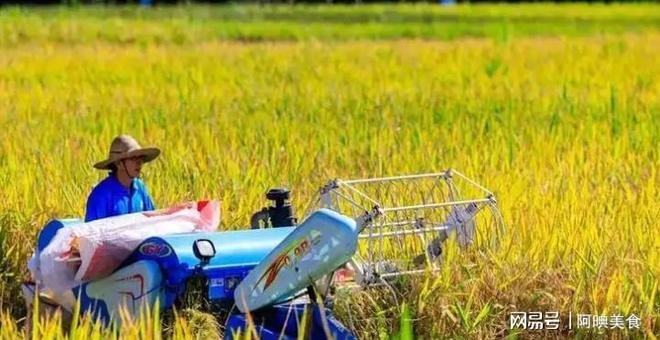 为曝光作案手法阴险粮食安全受威胁不朽情缘网站央媒通报！又一间谍行(图4)