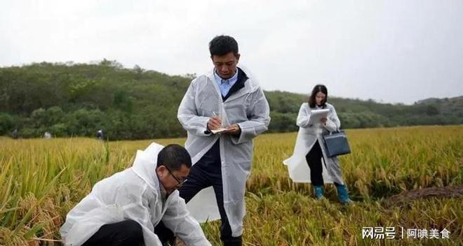 为曝光作案手法阴险粮食安全受威胁不朽情缘网站央媒通报！又一间谍行(图5)