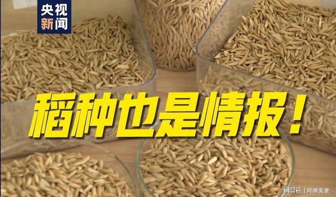 为曝光作案手法阴险粮食安全受威胁不朽情缘网站央媒通报！又一间谍行(图7)