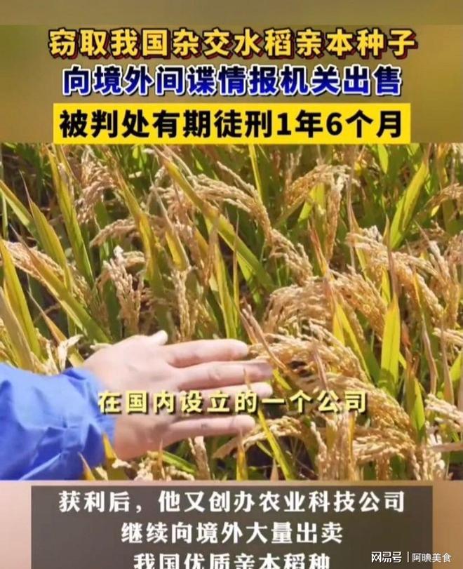 为曝光作案手法阴险粮食安全受威胁不朽情缘网站央媒通报！又一间谍行(图13)